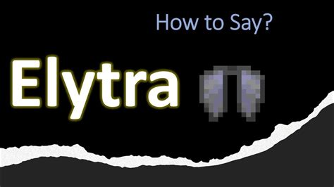 <strong>elytra pronunciation</strong> - How to properly say <strong>elytra</strong>. . Elytra pronunciation